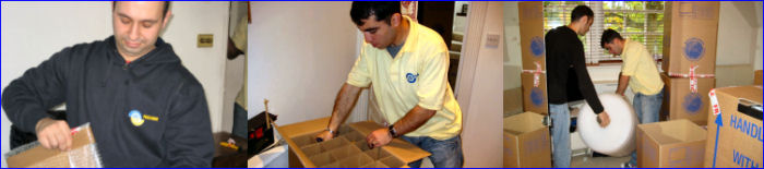 Pick and move moving and storage